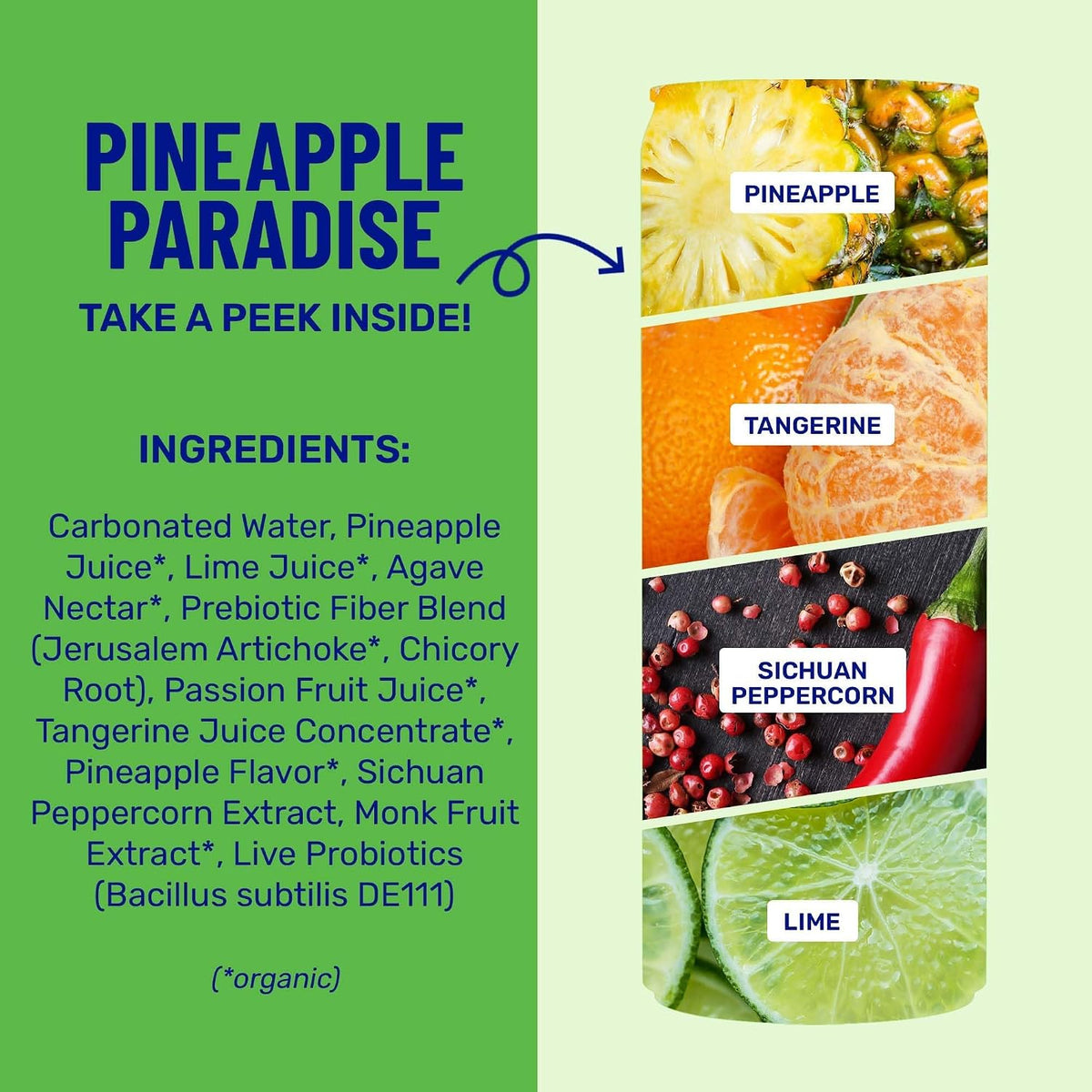 wildwonder Pineapple Paradise Sparkling Probiotic Drink, 12 Pack